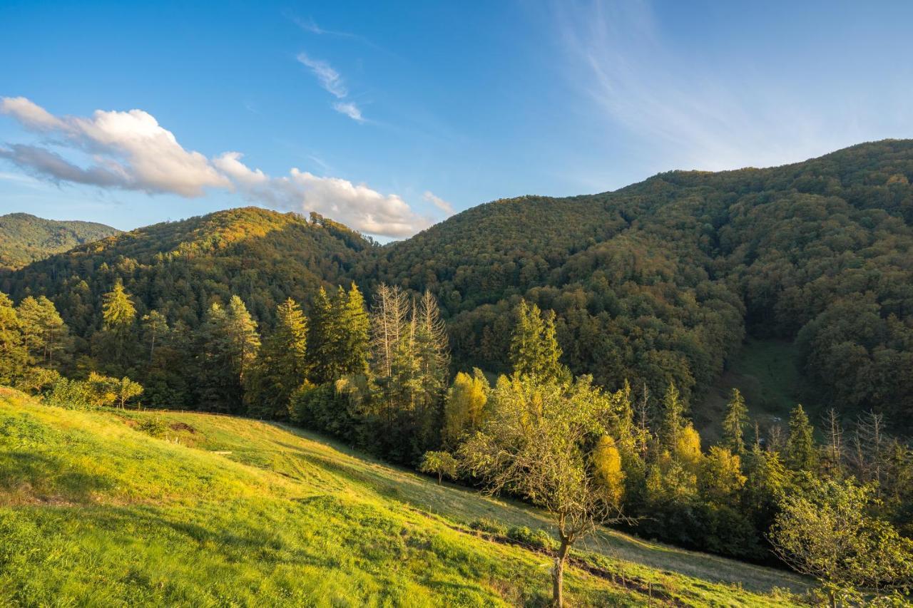 Ubytovanie Pod Gastanom Hodruša Exteriér fotografie